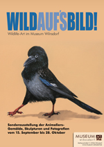 WILDAUF'SBILD! Wildlife-Art im Museum Wilnsdorf