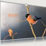 Deckblatt Naturfotografie-Kalender 2010 von naturfotografie-stein.de