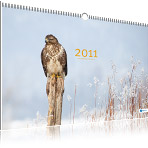 Deckblatt Naturfotografie-Kalender 2011 von naturfotografie-stein.de