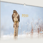 Deckblatt Naturfotografie-Kalender 2011 von naturfotografie-stein.de