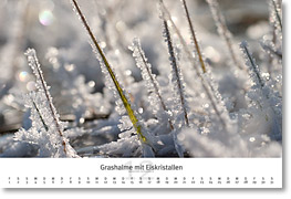 Monat Dezember des Naturfotografie-Kalenders 2007 von christianstein.net