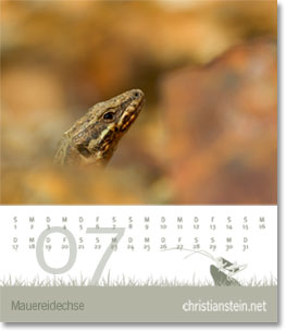 Monat Juli des Naturfotografie-Kalenders 2007 von christianstein.net