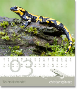 Monat März des Naturfotografie-Kalenders 2009 von christianstein.net