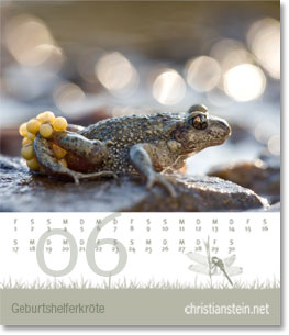 Monat Juni des Naturfotografie-Kalenders 2009 von christianstein.net