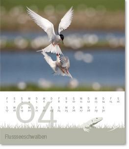 Monat April des Naturfotografie-Kalenders 2011 von christianstein.net