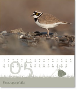 Monat Mai des Naturfotografie-Kalenders 2011 von christianstein.net