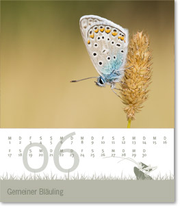 Monat Juni des Naturfotografie-Kalenders 2011 von christianstein.net